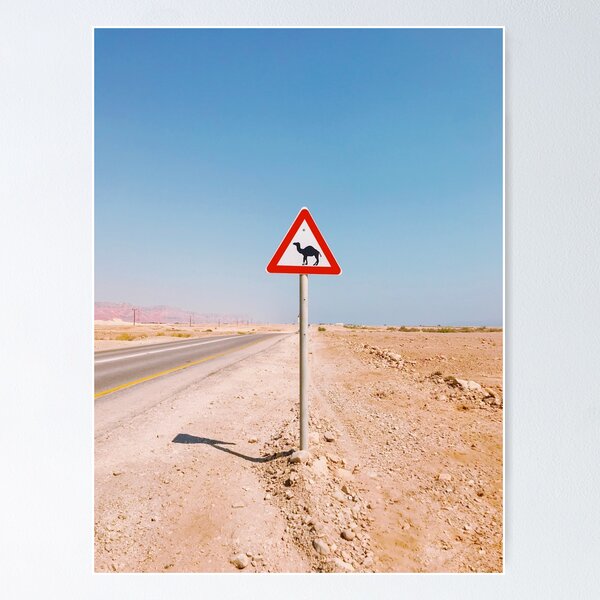 Item preview, Accidentally Wes Anderson Camel Crossing designed and sold by drewmaniac.