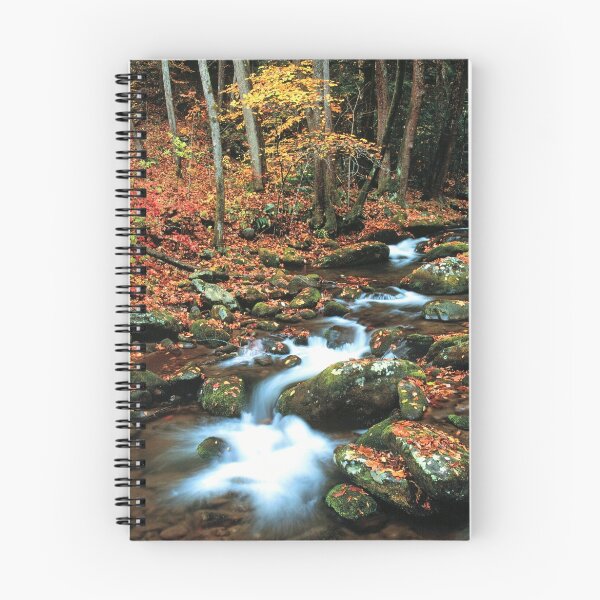 Item preview, ROARING FORK designed and sold by Chuck Wickham.
