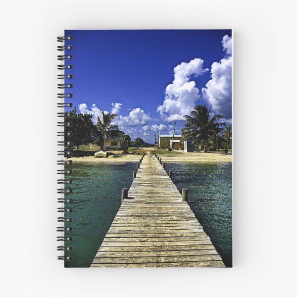 Item preview, Dock At Hopkins designed and sold by Brian Walter.