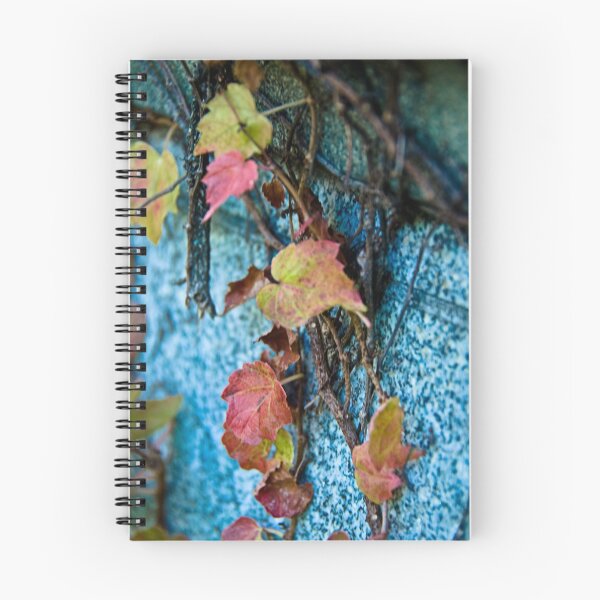 Item preview, Fall Vines designed and sold by Brian Walter.