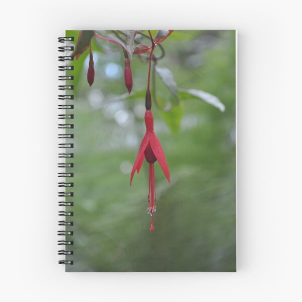 Item preview, Chinese Lantern designed and sold by resin8n.