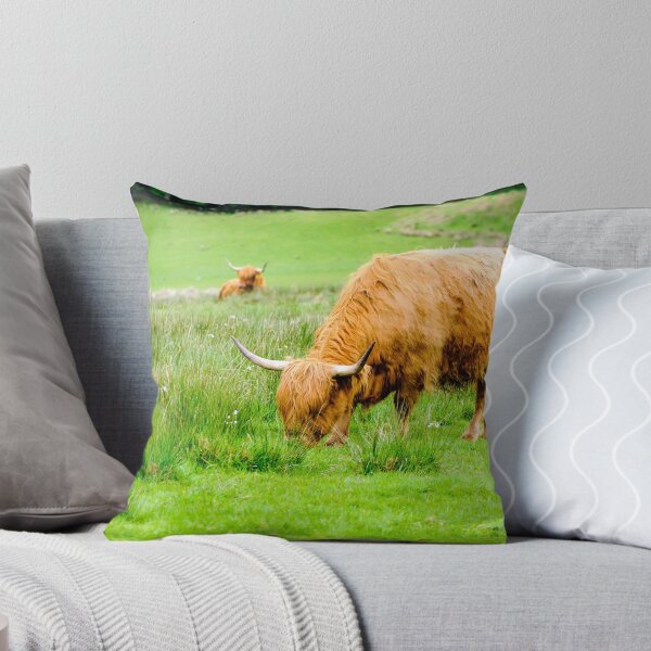 Item preview, Scottish Highland Cows designed and sold by Stanciuc.