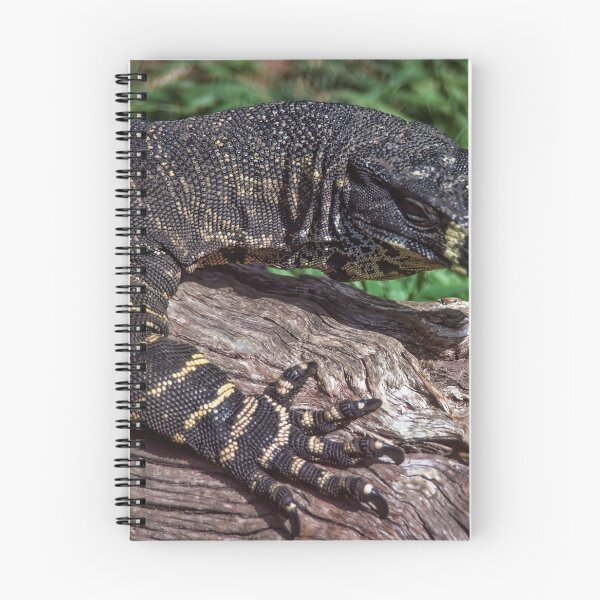 Item preview, Goanna_Healesville_Sanctuary 19860208 0002 designed and sold by Fred Mitchell.