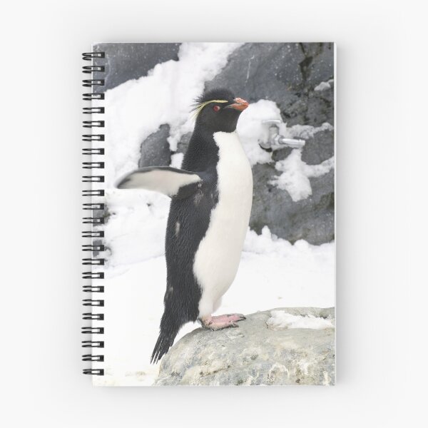 Item preview, Rockhopper Penguin designed and sold by Aneurysm.