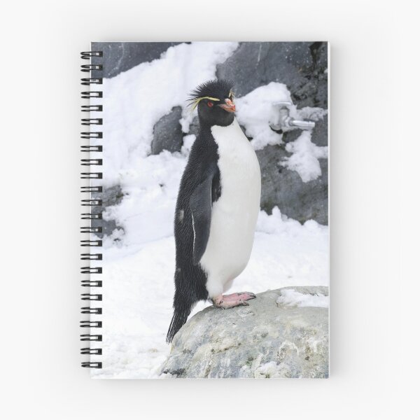 Item preview, Rockhopper Penguin designed and sold by Aneurysm.