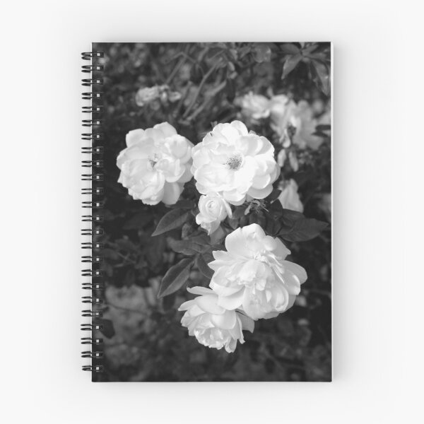 Artikelvorschau, White Roses entworfen und verkauft von David Rinkevich.