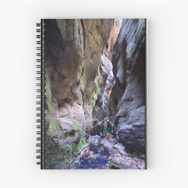 Item preview, Carnarvon Gorge designed and sold by rayrich.