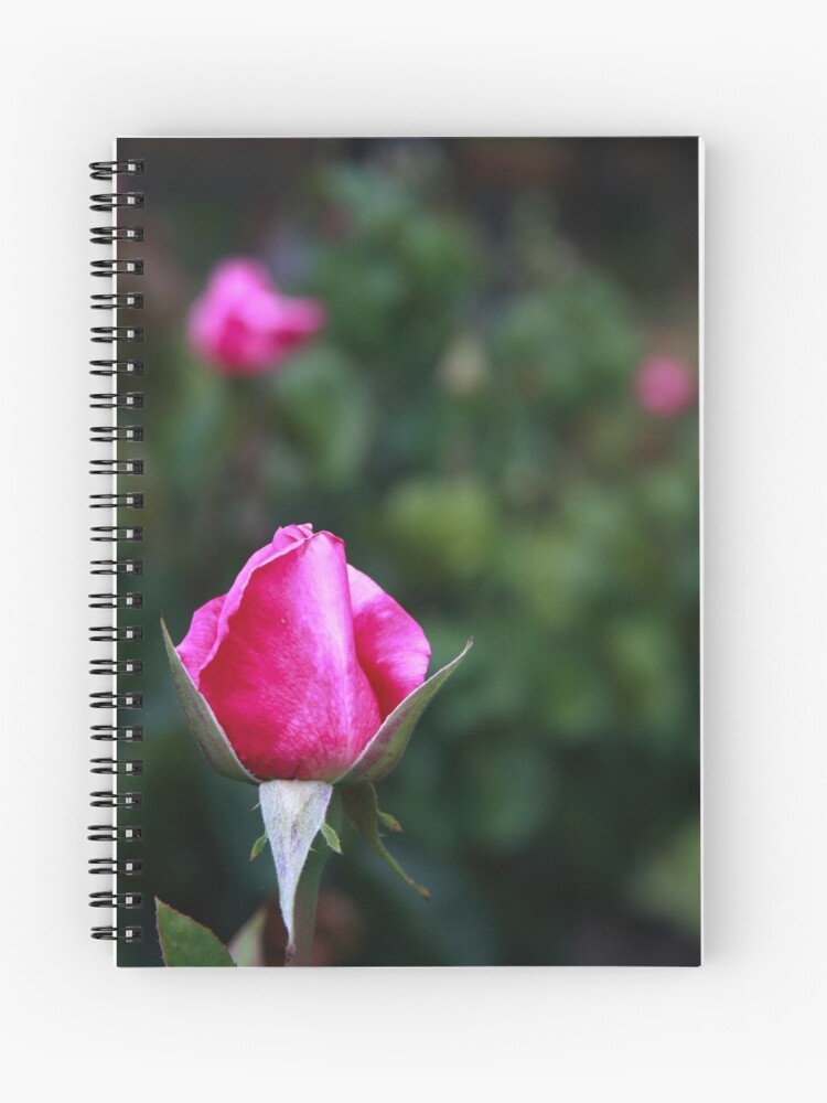 Thumbnail 1 of 3, Journal, Pink rose designed and sold by mistered.