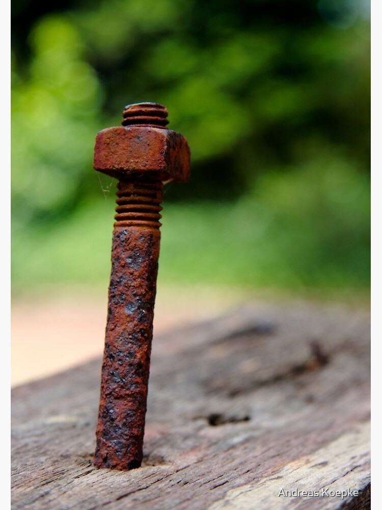 Nut & bolt by mistered