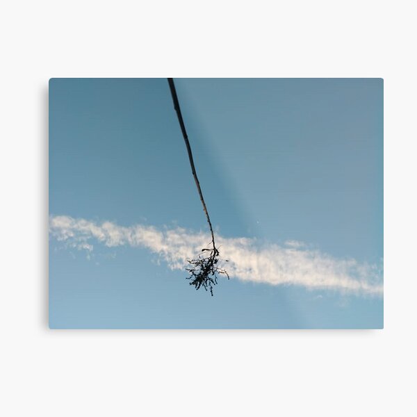 #sky #airplane #helicopter #outdoors #military #winter #landscape #wind #nature #horizontal #airvehicle #flying #nopeople #commercialairplane #day #aerospaceindustry #motion #travel #nonurbanscene Metal Print
