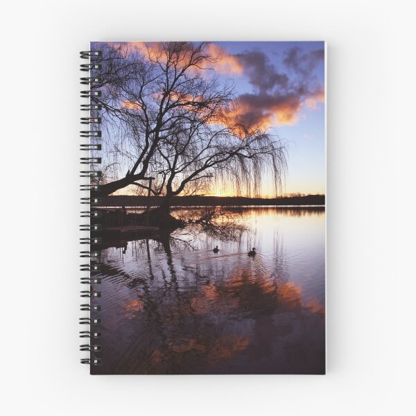 Item preview, Mannum Willows designed and sold by Steve Chapple.