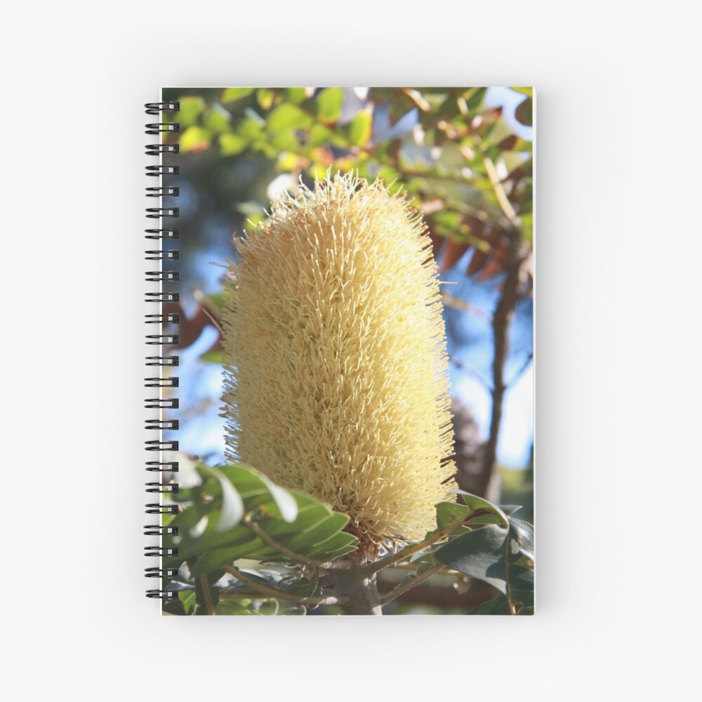 Item preview, Spiral Notebook designed and sold by mistered.