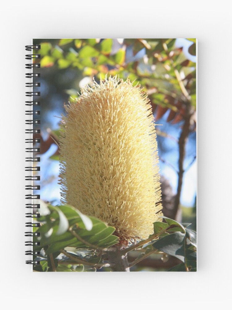 Thumbnail 1 of 3, Journal, Banksia Flower designed and sold by mistered.