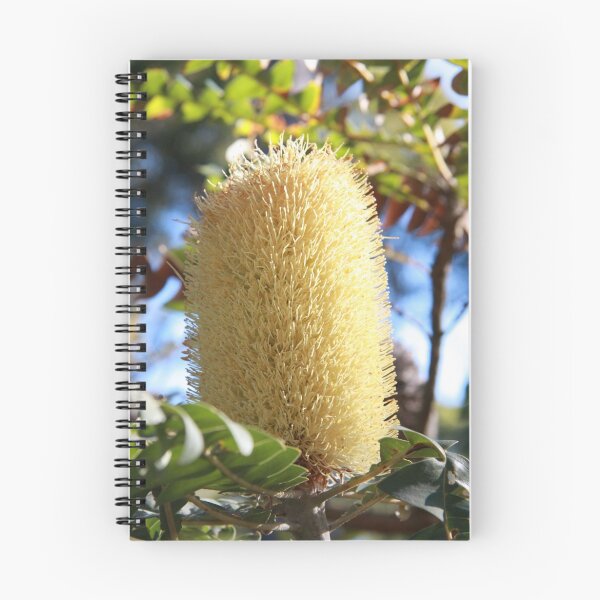 Item preview, Banksia Flower designed and sold by Andreas Koepke.