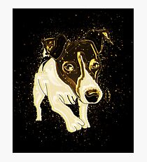 Dog funny golden Gold Photographic Print