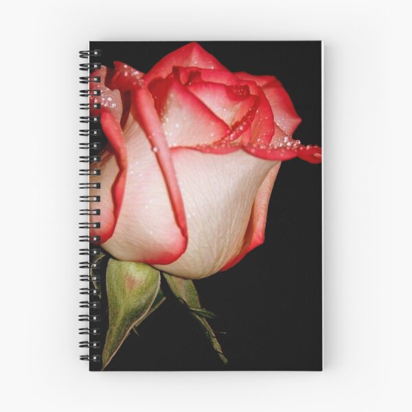 Item preview, Rose Drops designed and sold by Kasey Cline.