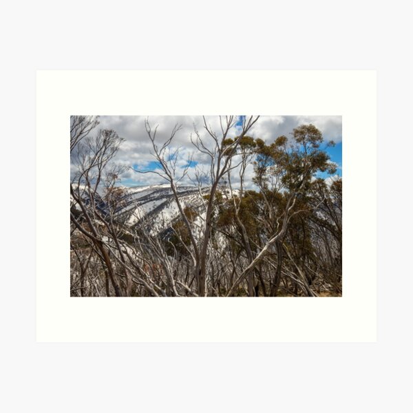 Item preview,  Mountains Reach The Sky..Alpine National Park. designed and sold by mitpjenkeating.
