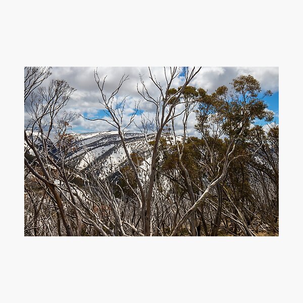 Item preview,  Mountains Reach The Sky..Alpine National Park. designed and sold by mitpjenkeating.
