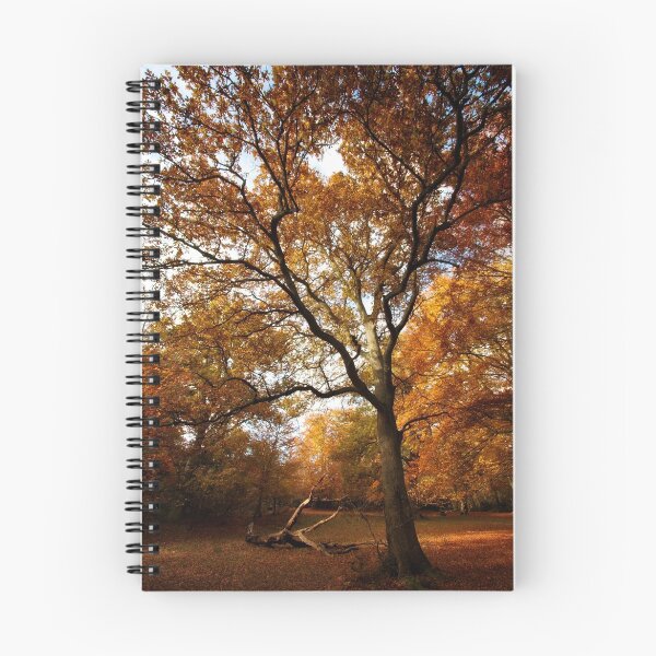Item preview, The beauty of Burnham Beeches designed and sold by Donncha O Caoimh.