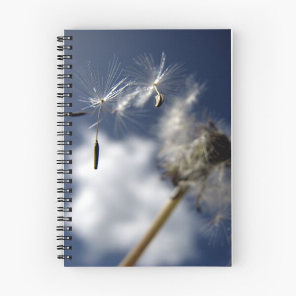 Item preview, Wishes and Dreams designed and sold by deannedaffy.