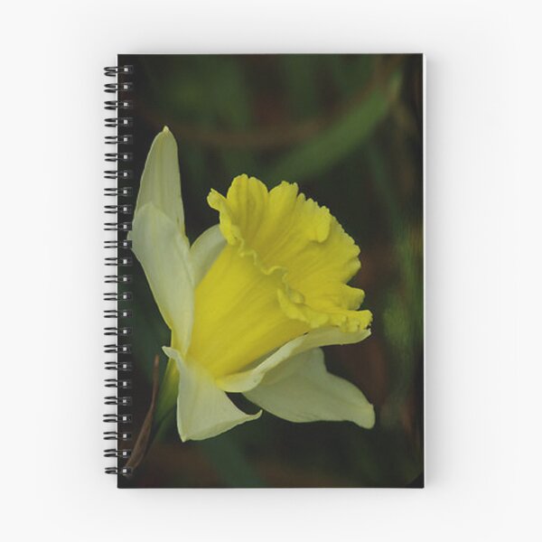 Item preview, Yellow Daffodil  (Spring) designed and sold by Trevor Kersley.