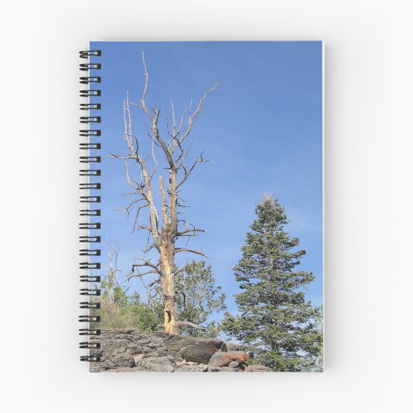 Item preview, Renewal designed and sold by HSOimages.