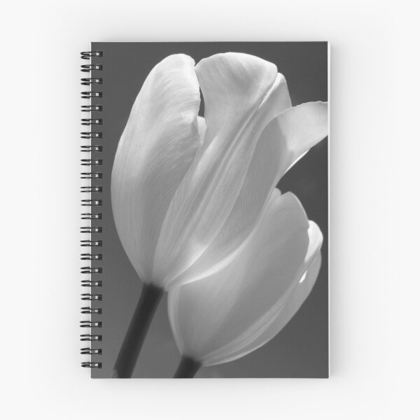 Item preview, Ambience designed and sold by insight.