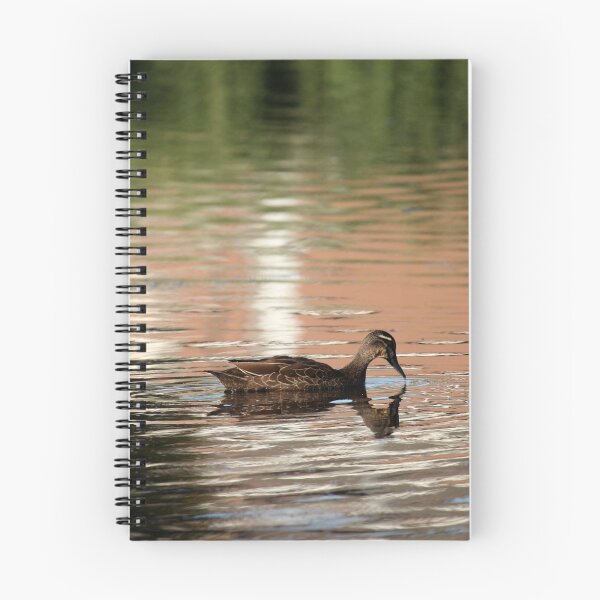 Item preview, Pacific Black Duck designed and sold by margotk.