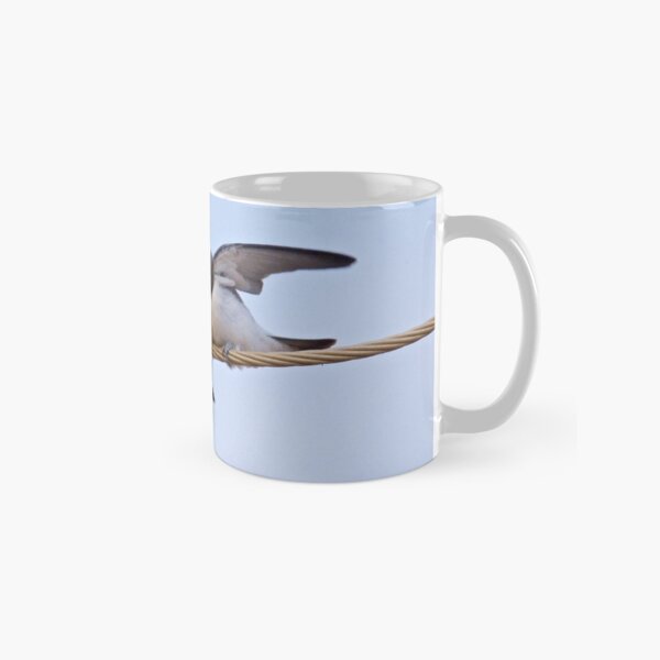 NT ~ SWALLOW ~ White-breasted Woodswallow by David Irwin ~ WO Classic Mug