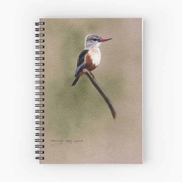 Item preview, African Grey Headed Kingfisher designed and sold by Philip Holley.