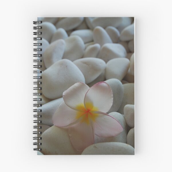 Artikelvorschau, Flower lying on pebbles. entworfen und verkauft von khadhy.