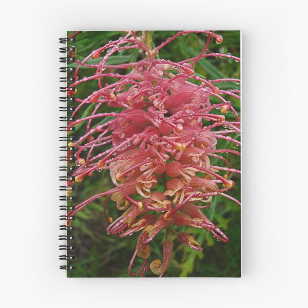 Item preview, Grevillea Superb designed and sold by Les Boucher.