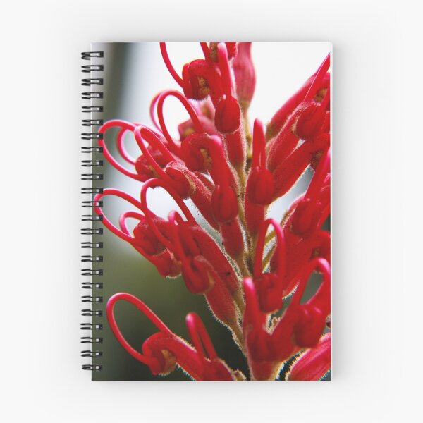 Item preview, Grevillea designed and sold by Andreas Koepke.