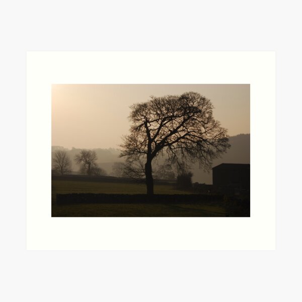 Item preview, Bare tree in Winter  designed and sold by vkirbys.