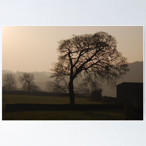 Item preview, Bare tree in Winter  designed and sold by vkirbys.