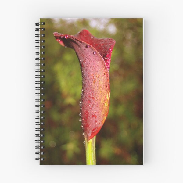 Item preview, Calla Lily designed and sold by Melanie Roberts.