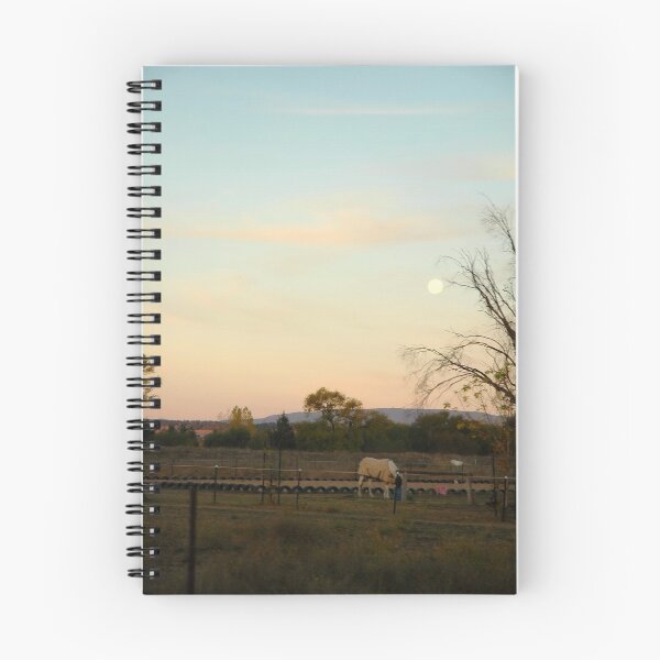 Item preview, Moon Light designed and sold by Nalin K.
