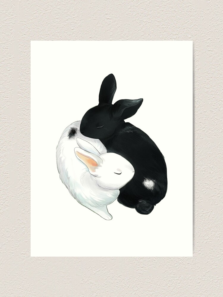 Yin Yang Bunnies