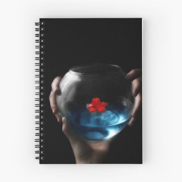Item preview.