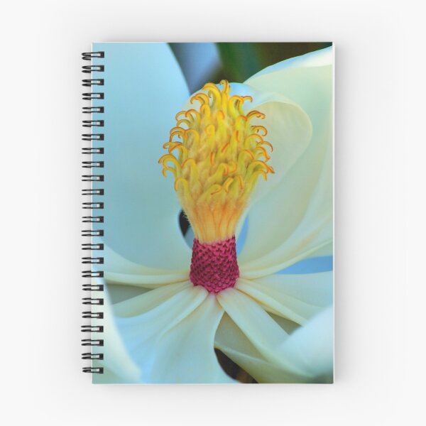 Item preview, Magnolia designed and sold by Claire  Farley.