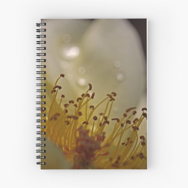 Item preview, Insider designed and sold by Chet  King.