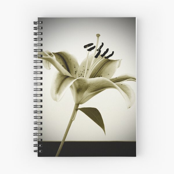 Item preview, Intitulado designed and sold by SeanOlio.
