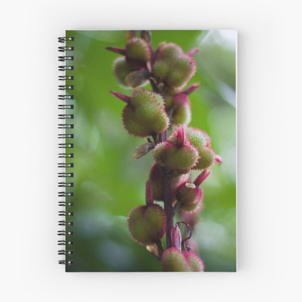 Aperçu de l'œuvre Budding créée et vendue par Mandi Whitten.