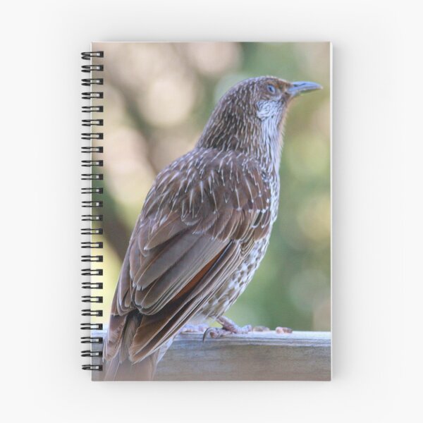 Artikelvorschau, Wattle Bird entworfen und verkauft von Clive.