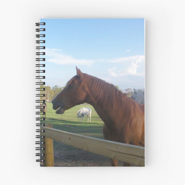 Item preview, Roll Over Mister Ed - Here Comes Doc... designed and sold by Anthea  Slade.