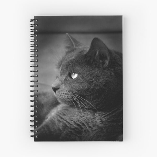 Item preview, Content designed and sold by Anibal.
