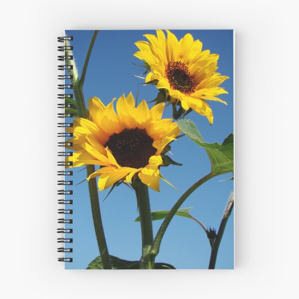 Item preview, Alberta Sunflower II designed and sold by Souvenir.