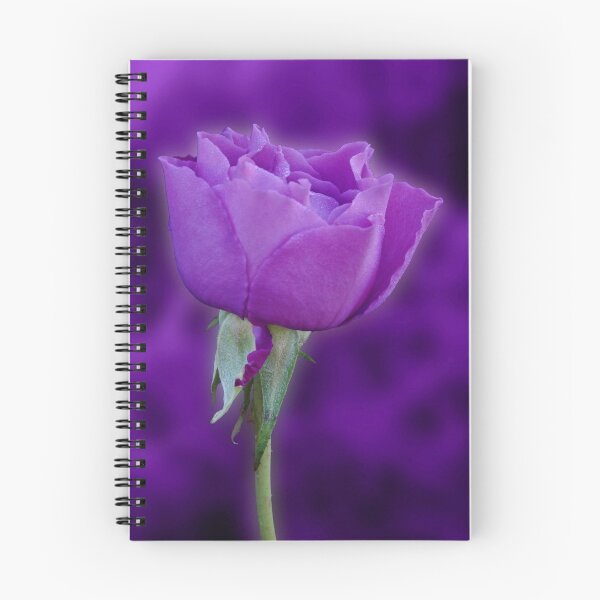 Item preview, Purple Rose designed and sold by Sandy Keeton.