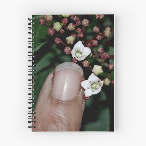 Item preview, Tiny flower: How to use a flash with macro using the Nikon D80 designed and sold by Lenny La Rue, IPA.
