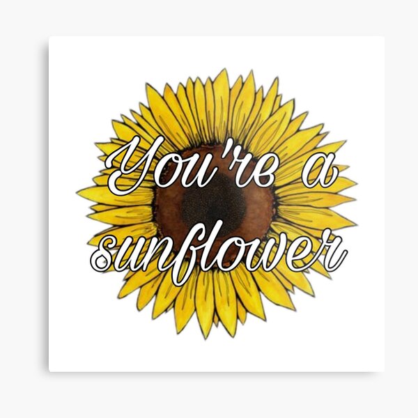 Post Malone Sunflower Wall Art Redbubble